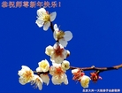 ֹ,󷨵ӹףʦ(24)