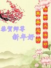 ֹ,人󷨵ӹףʦ(24)