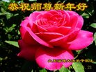 法轮功,山东大法弟子恭祝师尊新年好(26条)