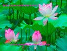 ֹ,󷨵ӹףʦ(29)