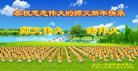 ֹ,ʡ󷨵ӹףʦ(27)