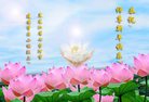 ֹ,󷨵ӹףʦ(24)