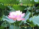 ֹ,󷨵ӹףʦ(27)