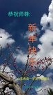 法轮功,青岛大法弟子恭祝师尊新年好(20条)