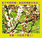 ֹ,󷨵ӹףʦ(22)