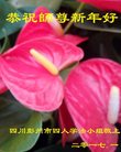 ֹ,ɶ󷨵ӹףʦ(22)