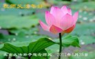 ֹ,󷨵ӹףʦ(25)