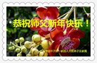 法轮功,大连大法弟子恭祝师尊新年好(24条)