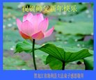 ֹ,󷨵ӹףʦ(21)