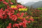 ֹ,ϴ󷨵ӹףʦ(24)