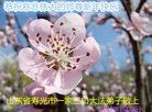 ֹ,Ϋ󷨵ӹףʦ(28)