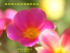 ֹ,󷨵ӹףʦ(21)