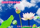 ֹ,ϴ󷨵ӹףʦ(26)