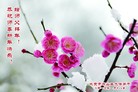 Published on 1/28/2017 ���ֹ�,2017������ؿ��������壩