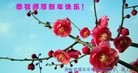 ֹ,㽭󷨵ӹףʦ(19)
