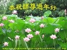 ֹ,󷨵ӹףʦ(26)