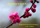 Published on 1/25/2017 ���ֹ�,��½�󷨵��ӹ�ףʦ�������(40��)