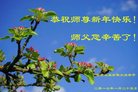 法轮功,云南大法弟子恭祝师尊新年好(21条)