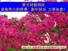 ֹ,֣ݴ󷨵ӹףʦ(21)
