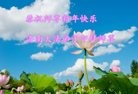 ֹ,ϴ󷨵ӹףʦ(30)