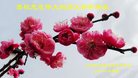 ֹ,ʴ󷨵ӹףʦ(25)