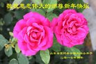 ֹ,ʴ󷨵ӹףʦ(25)