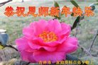ֹ,д󷨵ӹףʦ(23)