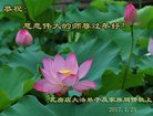法轮功,大连大法弟子恭祝师尊新年好(26条)