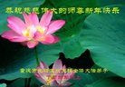 ֹ,󷨵ӹףʦ(22)