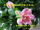 ֹ,մ󷨵ӹףʦ(24)