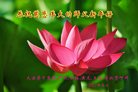 法轮功,云南大法弟子恭祝师尊新年好(21条)