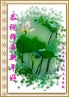 ֹ,󷨵ӹףʦ(24)