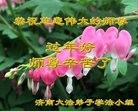 ֹ,ϴ󷨵ӹףʦ(30)