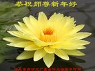 ֹ,ӱ󷨵ӹףʦ(24)