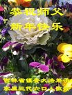 ֹ,ʡ󷨵ӹףʦ(18)