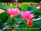 ֹ,󷨵ӹףʦ(26)