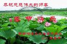 ֹ,ϴ󷨵ӹףʦ(27)