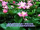 ֹ,ػʵ󷨵ӹףʦ(23)