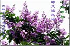 ֹ,д󷨵ӹףʦ(22)