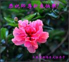 ֹ,󷨵ӹףʦ(24)