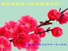 法轮功,广东大法弟子恭祝师尊新年好(25条)