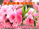 ֹ,żҿڴ󷨵ӹףʦ(23)