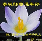 法轮功,成都大法弟子恭祝师尊新年好(22条)