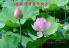 法轮功,黑龙江大法弟子恭祝师尊新年好(28条)