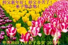 ֹ,ӱ󷨵ӹףʦ(24)