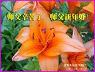 ֹ,󷨵ӹףʦ(27)