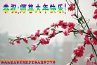 ֹ,󷨵ӹףʦ(26)
