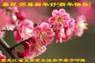 ֹ,󷨵ӹףʦ(26)