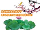ֹ,󷨵ӹףʦ(24)