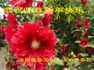 ֹ,󷨵ӹףʦ(27)